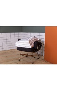 FSN-09271 Одеяло PREMIUM FAMILIE NON-ALERGENIC легкое 160х220 FSN-09271 Одеяло PREMIUM FAMILIE NON-ALERGENIC легкое 160х220