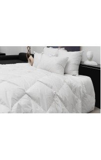 Одеяло PRIME DOWN GRASS всесезонное 200х200 Одеяло PRIME DOWN GRASS всесезонное 200х200