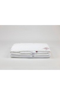 Одеяло BAMBOO GRASS легкое 240х220