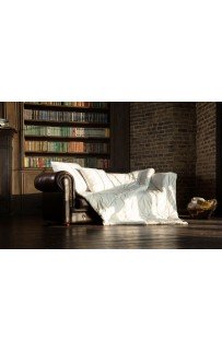 Одеяло CAMEL WOOL GRASS легкое 240х220