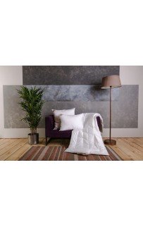 Одеяло BAMBOO GRASS всесезонное 200х220