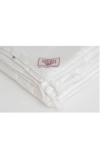 Одеяло ALLIANCE TENCEL GRASS легкое 200х220