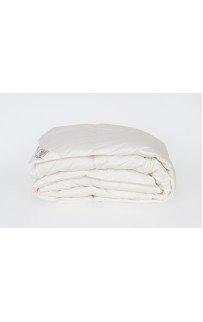 Одеяло LUXE DOWN GRASS всесезонное 200х200