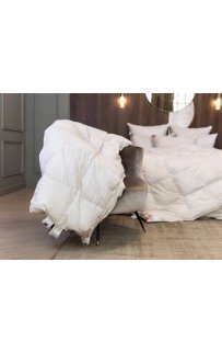 Одеяло SILVER DOWN GRASS всесезонное 240х220