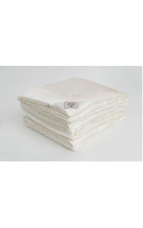 Одеяло GREAT SILK GRASS всесезонное 200х220