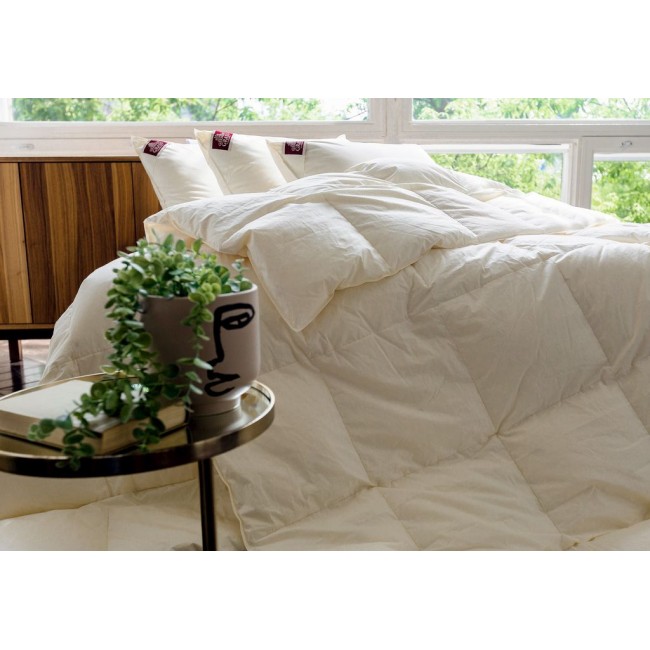 Одеяло ORGANIC DOWN GRASS всесезонное 260х240 Одеяло ORGANIC DOWN GRASS всесезонное 260х240