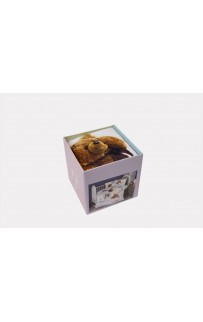 Комплект Карвен (детское постельное белье) 3D Digital сатин D 039 Bear