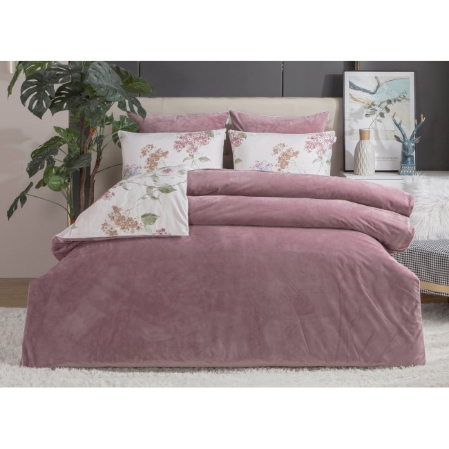 Бегония (маджента) Семейный KAZANOV.A.