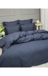 Hotel (индиго платина) Евро KAZANOV.A. Hotel (индиго платина) Евро KAZANOV.A.