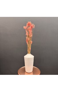 Сухоцвет (коралл) 75 см Sofi De MarkO