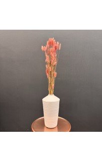 Сухоцвет (коралл) 75 см Sofi De MarkO Сухоцвет (коралл) 75 см Sofi De MarkO