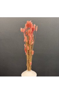 Сухоцвет (коралл) 75 см Sofi De MarkO Сухоцвет (коралл) 75 см Sofi De MarkO