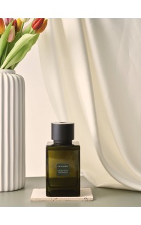 Eucaliptus and Patchouli Ароматический диффузор (500мл)