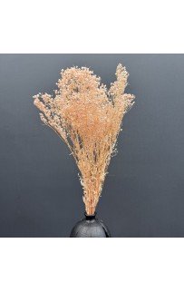 Сухоцвет-ветка (персик) 70-80см Sofi De MarkO Сухоцвет-ветка (персик) 70-80см Sofi De MarkO