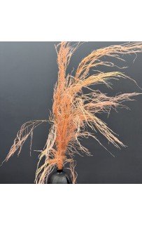 Сухоцвет-ветка (розовый) 90-100см Sofi De MarkO Сухоцвет-ветка (розовый) 90-100см Sofi De MarkO