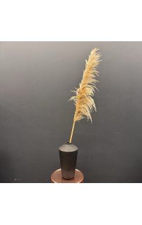 Пампасная трава (беж) 130-140см Sofi De MarkO