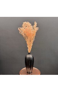 Сухоцвет-ветка (персик) 70-80см Sofi De MarkO Сухоцвет-ветка (персик) 70-80см Sofi De MarkO