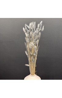 Сухоцвет (серый) 75 см Sofi De MarkO