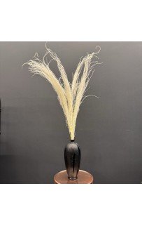 Сухоцвет-ветка (крем) 90-100см Sofi De MarkO