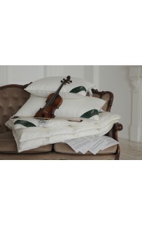 Подушка Flaum HERBST 70х70 средняя