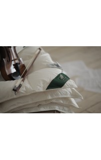 Подушка Flaum HERBST 70х70 средняя